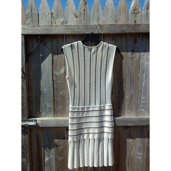 Torn by Ronny Kobo Beth Sleeveless Dress Small Silver Metallic Stripes White - Picture 5 of 5